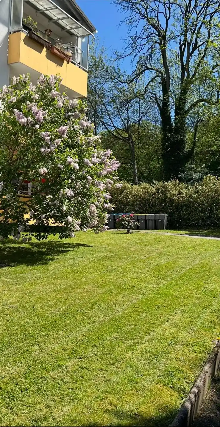 Gepflegter Garten mit Rasen, Sträuchern und Blüten